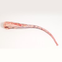 Beef Offal Meat Cut Spec Step 8
